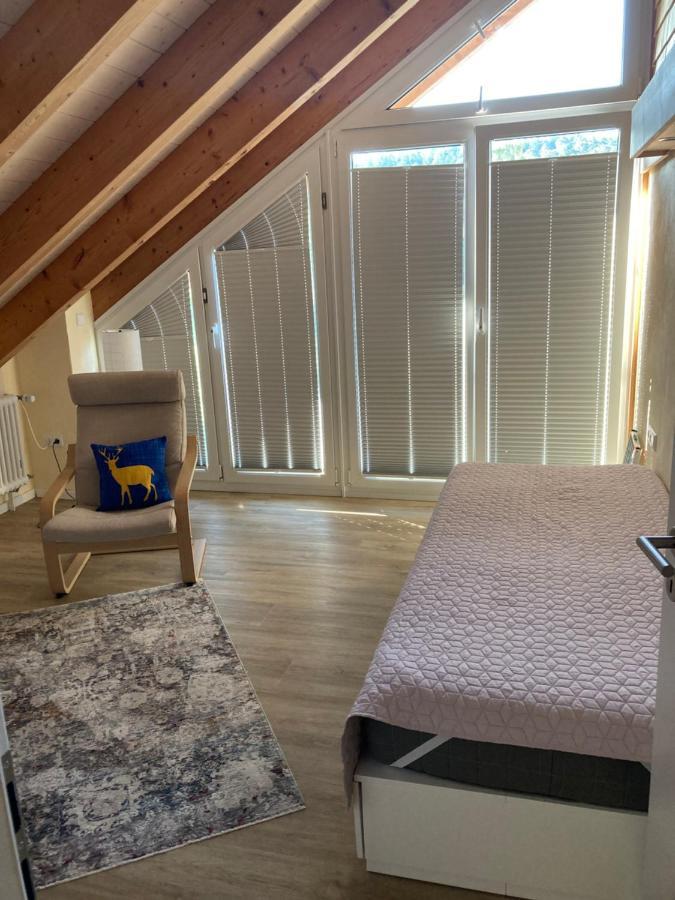 Im Hegau Apartment