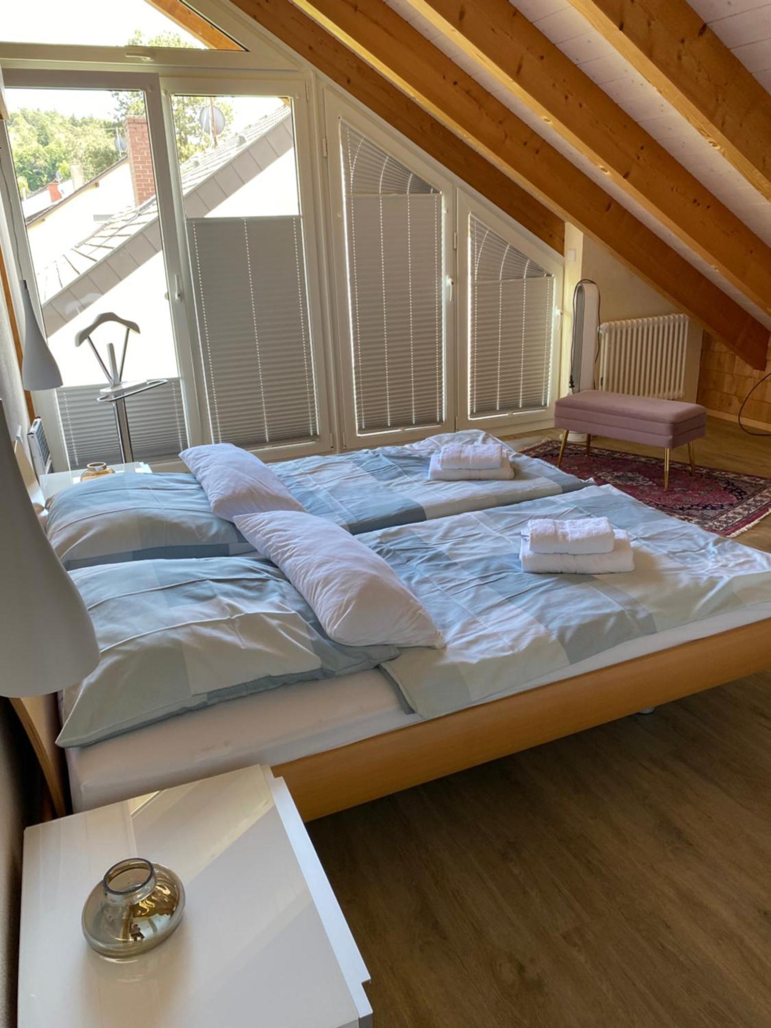 Im Hegau Apartment Singen (Hohentwiel)